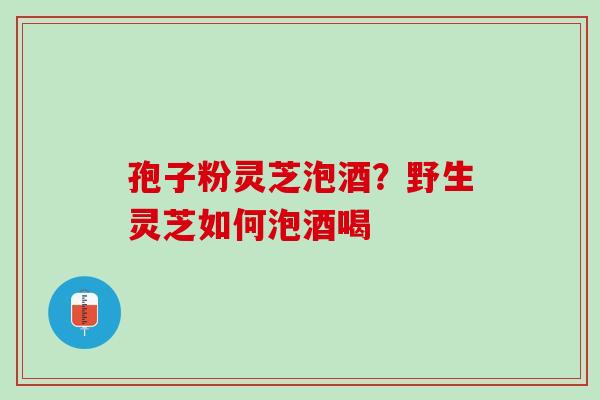 孢子粉灵芝泡酒？野生灵芝如何泡酒喝