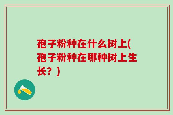 孢子粉种在什么树上(孢子粉种在哪种树上生长？)