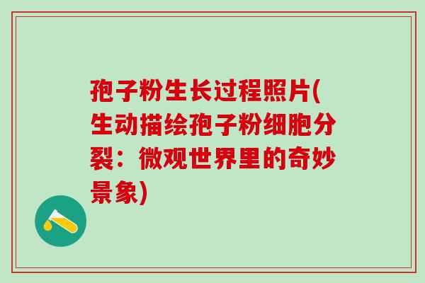 孢子粉生长过程照片(生动描绘孢子粉细胞分裂：微观世界里的奇妙景象)