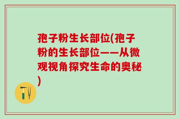 孢子粉生长部位(孢子粉的生长部位——从微观视角探究生命的奥秘)