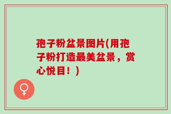 孢子粉盆景图片(用孢子粉打造美盆景,赏心悦目!) 孢子粉盆景图片(用孢子粉打造美盆景,赏心悦目!)