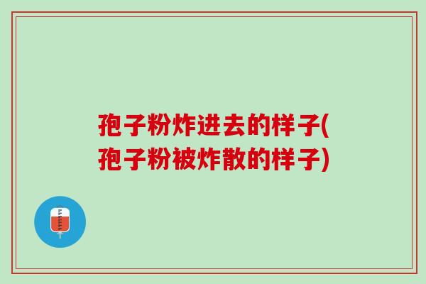 孢子粉炸进去的样子(孢子粉被炸散的样子) 孢子粉炸进去的样子(孢子粉被炸散的样子)