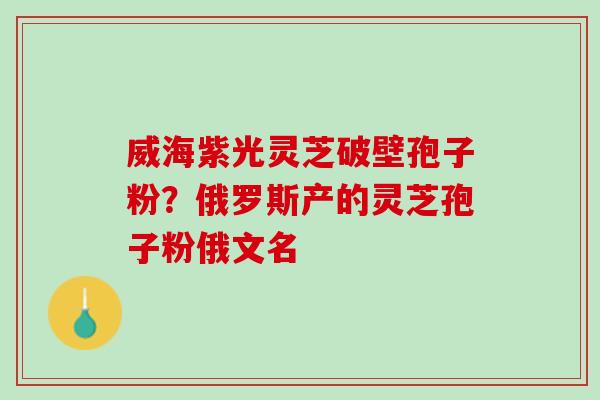 威海紫光灵芝破壁孢子粉？俄罗斯产的灵芝孢子粉俄文名