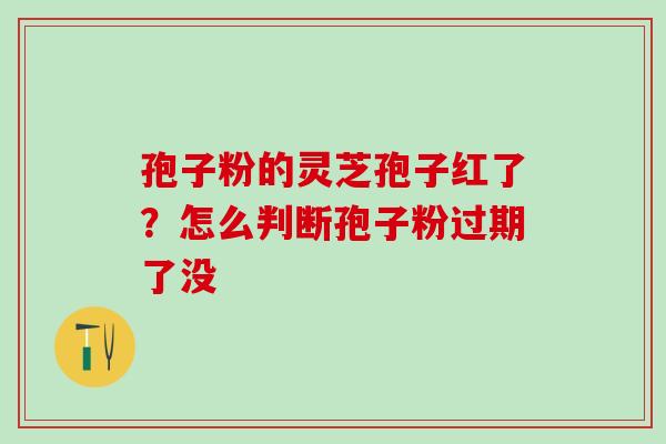 孢子粉的灵芝孢子红了？怎么判断孢子粉过期了没