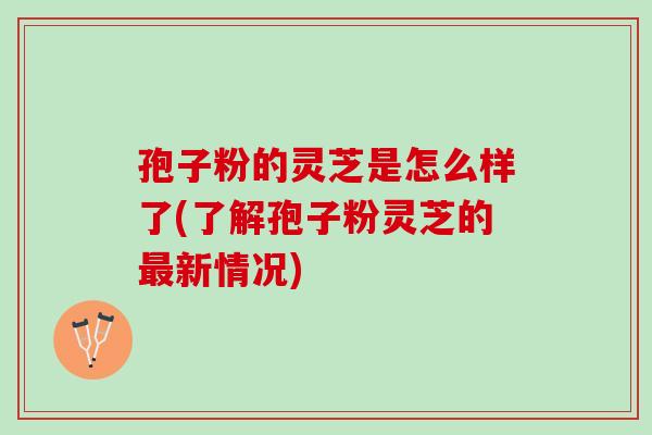 孢子粉的灵芝是怎么样了(了解孢子粉灵芝的最新情况)