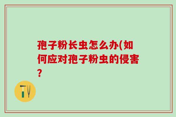 孢子粉长虫怎么办(如何应对孢子粉虫的侵害? 孢子粉长虫怎么办(如何应对孢子粉虫的侵害?