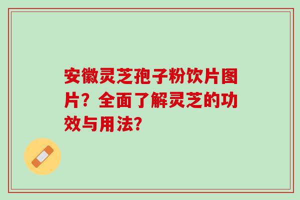 安徽灵芝孢子粉饮片图片？全面了解灵芝的功效与用法？