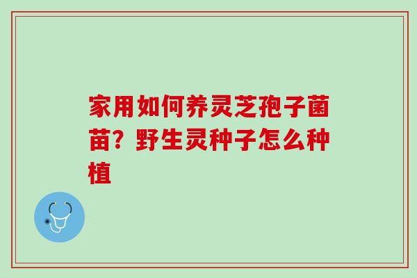 家用如何养灵芝孢子菌苗？野生灵种子怎么种植