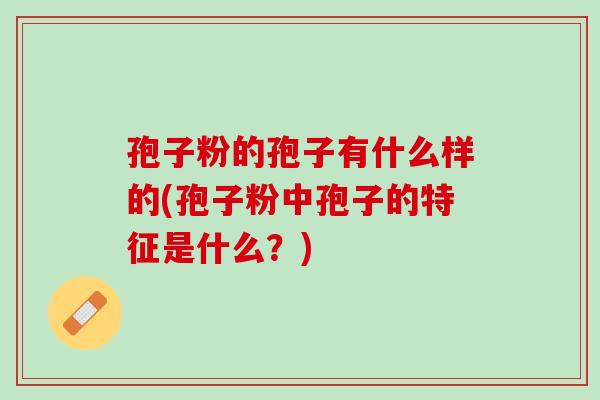 孢子粉的孢子有什么样的(孢子粉中孢子的特征是什么？)