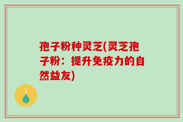 孢子粉种灵芝(灵芝孢子粉:提升免疫力的自然益友) 孢子粉种灵芝(灵芝孢子粉:提升免疫力的自然益友)