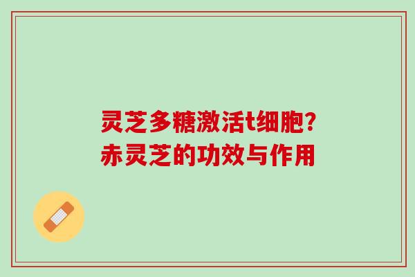 灵芝多糖激活t细胞？赤灵芝的功效与作用