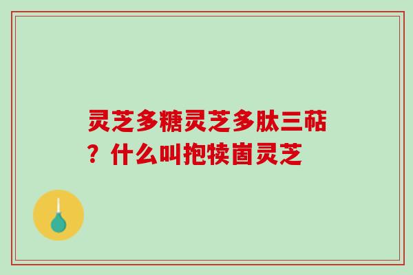 灵芝多糖灵芝多肽三萜？什么叫抱犊崮灵芝