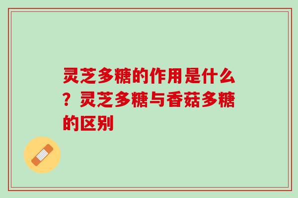 灵芝多糖的作用是什么？灵芝多糖与香菇多糖的区别