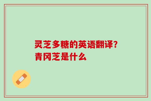 灵芝多糖的英语翻译？青冈芝是什么