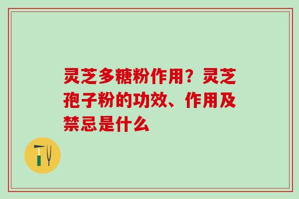 灵芝多糖粉作用?灵芝孢子粉的功效、作用及禁忌是什么 灵芝多糖粉作用?灵芝孢子粉的功效、作用及禁忌是什么