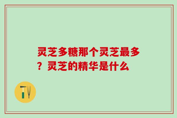 灵芝多糖那个灵芝最多？灵芝的精华是什么