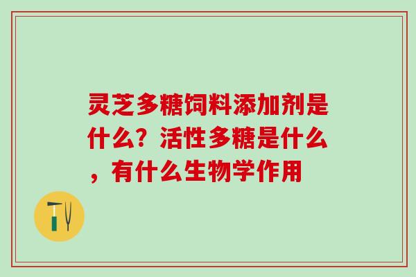灵芝多糖饲料添加剂是什么?活性多糖是什么,有什么生物学作用 灵芝多糖饲料添加剂是什么?活性多糖是什么,有什么生物学作用