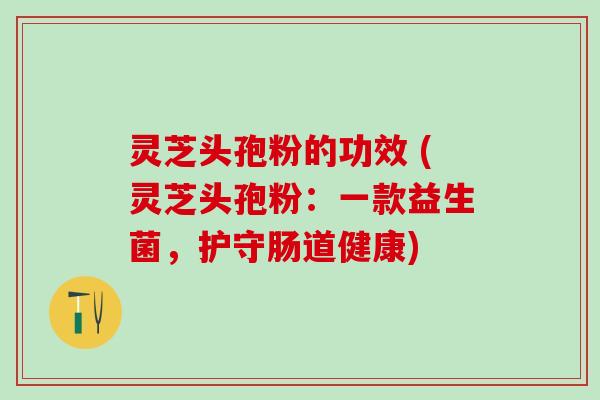 灵芝头孢粉的功效 (灵芝头孢粉：一款益生菌，护守肠道健康)