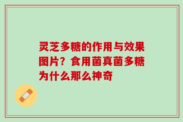 灵芝多糖的作用与效果图片？食用菌真菌多糖为什么那么神奇
