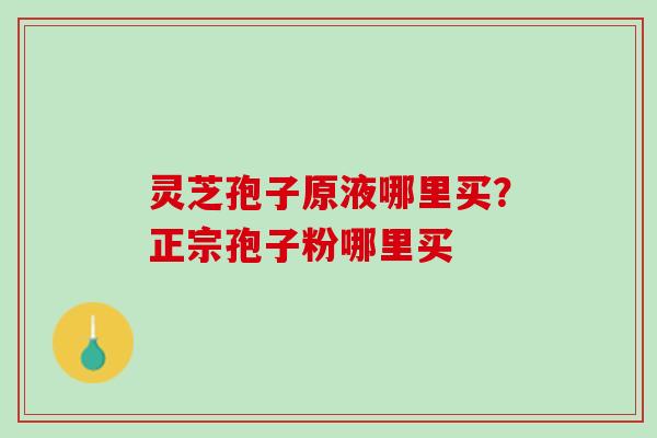 灵芝孢子原液哪里买？正宗孢子粉哪里买
