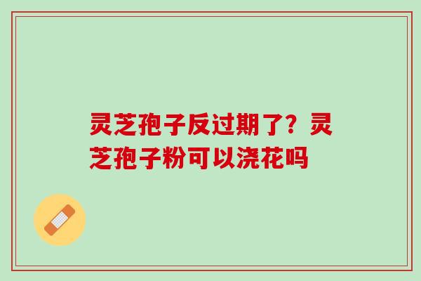 灵芝孢子反过期了？灵芝孢子粉可以浇花吗