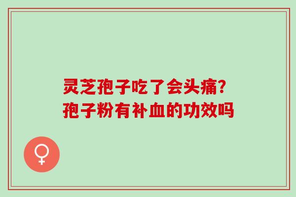 灵芝孢子吃了会头痛？孢子粉有补血的功效吗