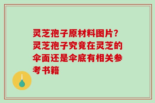 灵芝孢子原材料图片？灵芝孢子究竟在灵芝的伞面还是伞底有相关参考书籍