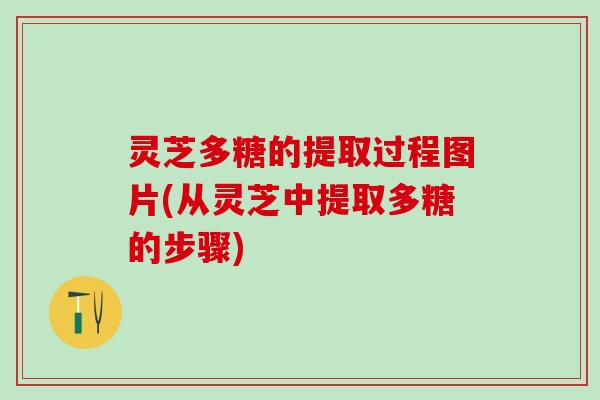 灵芝多糖的提取过程图片(从灵芝中提取多糖的步骤)