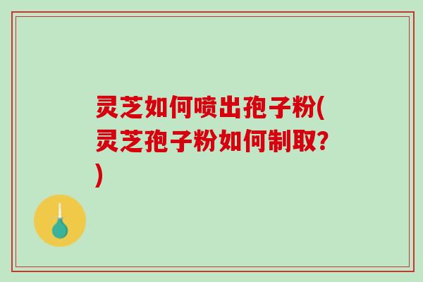 灵芝如何喷出孢子粉(灵芝孢子粉如何制取？)