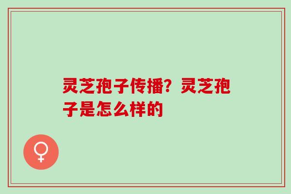 灵芝孢子传播？灵芝孢子是怎么样的