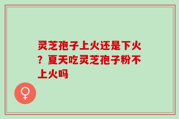 灵芝孢子上火还是下火?夏天吃灵芝孢子粉不上火吗 灵芝孢子上火还是下火?夏天吃灵芝孢子粉不上火吗