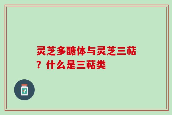 灵芝多醣体与灵芝三萜？什么是三萜类