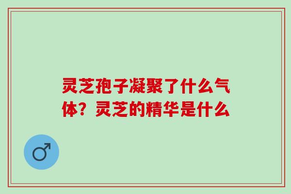 灵芝孢子凝聚了什么气体？灵芝的精华是什么