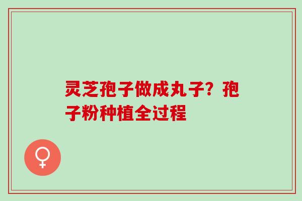 灵芝孢子做成丸子？孢子粉种植全过程