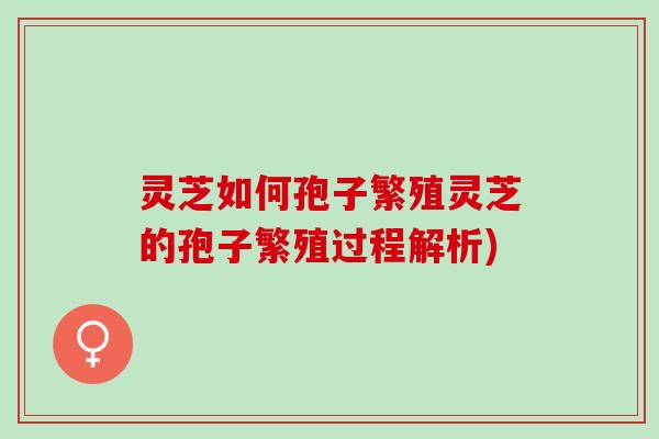灵芝如何孢子繁殖灵芝的孢子繁殖过程解析)