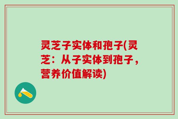 灵芝子实体和孢子(灵芝:从子实体到孢子,营养价值解读) 灵芝子实体和孢子(灵芝:从子实体到孢子,营养价值解读)
