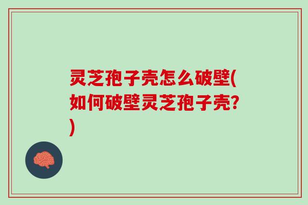 灵芝孢子壳怎么破壁(如何破壁灵芝孢子壳?) 灵芝孢子壳怎么破壁(如何破壁灵芝孢子壳?)