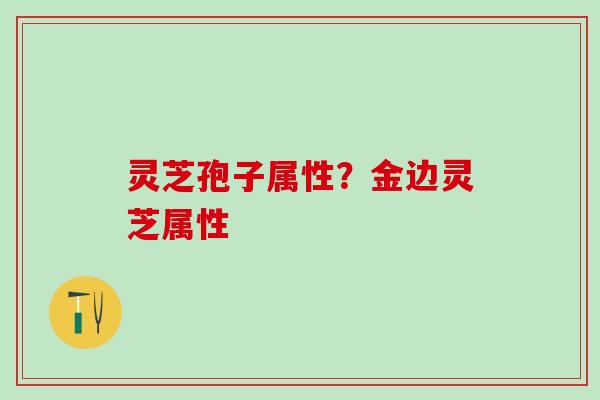 灵芝孢子属性？金边灵芝属性
