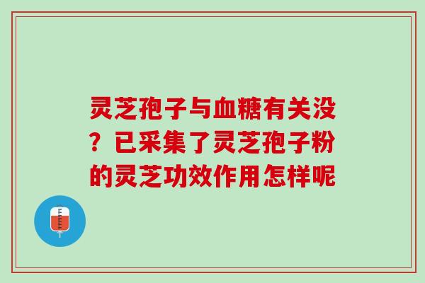 灵芝孢子与有关没?已采集了灵芝孢子粉的灵芝功效作用怎样呢 灵芝孢子与有关没?已采集了灵芝孢子粉的灵芝功效作用怎样呢