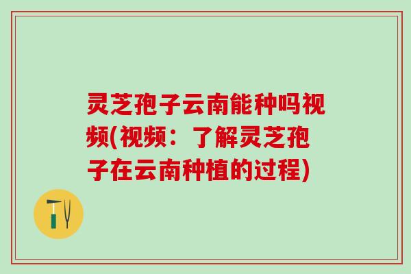 灵芝孢子云南能种吗视频(视频:了解灵芝孢子在云南种植的过程) 灵芝孢子云南能种吗视频(视频:了解灵芝孢子在云南种植的过程)