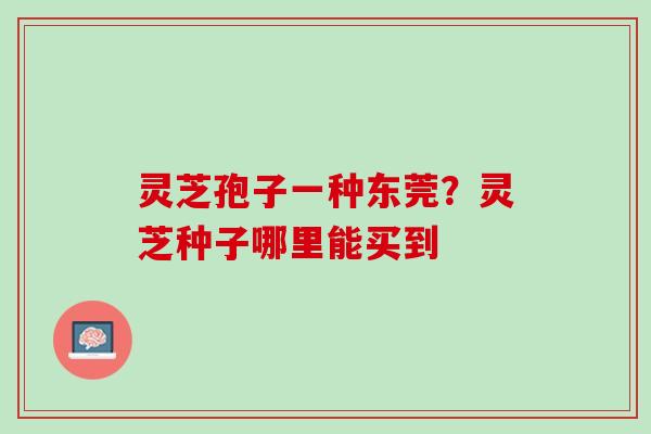 灵芝孢子一种东莞?灵芝种子哪里能买到 灵芝孢子一种东莞?灵芝种子哪里能买到