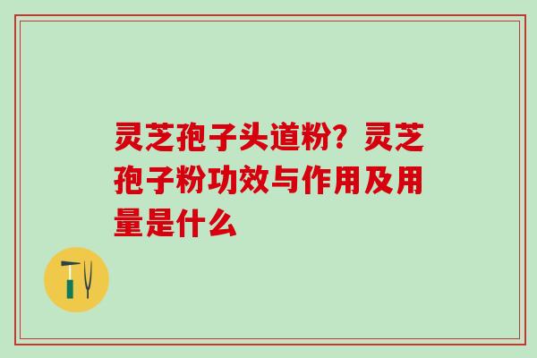 灵芝孢子头道粉？灵芝孢子粉功效与作用及用量是什么