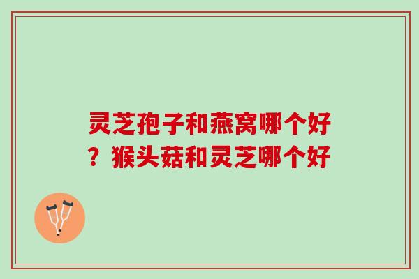 灵芝孢子和燕窝哪个好？猴头菇和灵芝哪个好