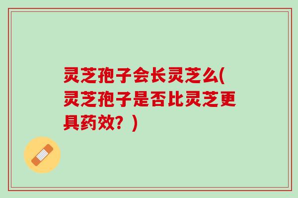 灵芝孢子会长灵芝么(灵芝孢子是否比灵芝更具？)