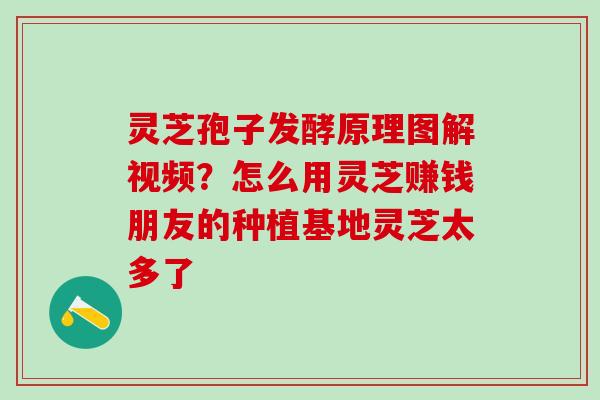 灵芝孢子发酵原理图解视频？怎么用灵芝赚钱朋友的种植基地灵芝太多了