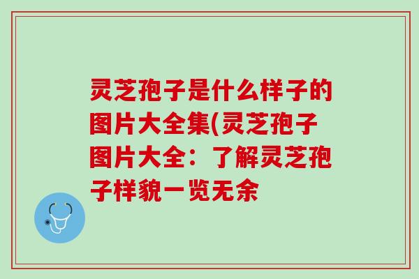 灵芝孢子是什么样子的图片大全集(灵芝孢子图片大全：了解灵芝孢子样貌一览无余