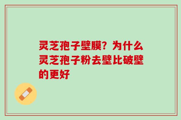 灵芝孢子壁膜？为什么灵芝孢子粉去壁比破壁的更好