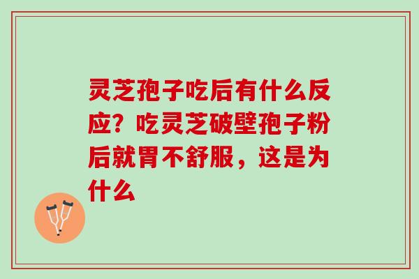 灵芝孢子吃后有什么反应？吃灵芝破壁孢子粉后就胃不舒服，这是为什么