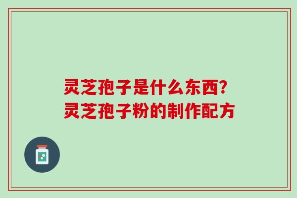 灵芝孢子是什么东西？灵芝孢子粉的制作配方