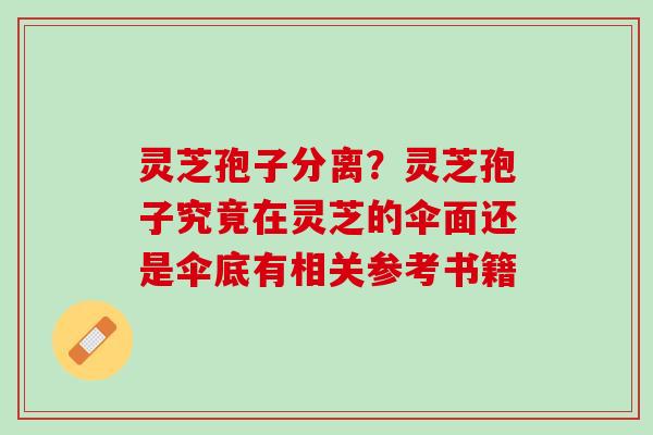 灵芝孢子分离？灵芝孢子究竟在灵芝的伞面还是伞底有相关参考书籍